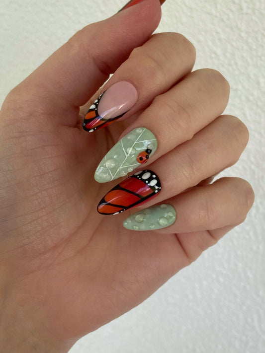 Monarch